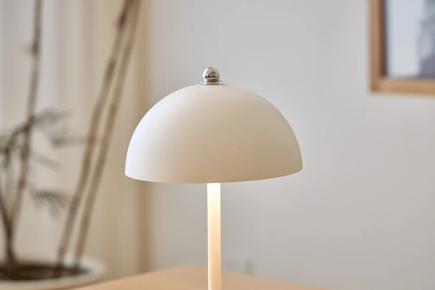Miniatuur 5